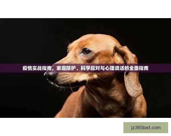 足球竞猜预测大数据分析与实战策略提升命中率全面指南专业研究平台